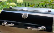 5 Best Rec Tec Grills for the Money