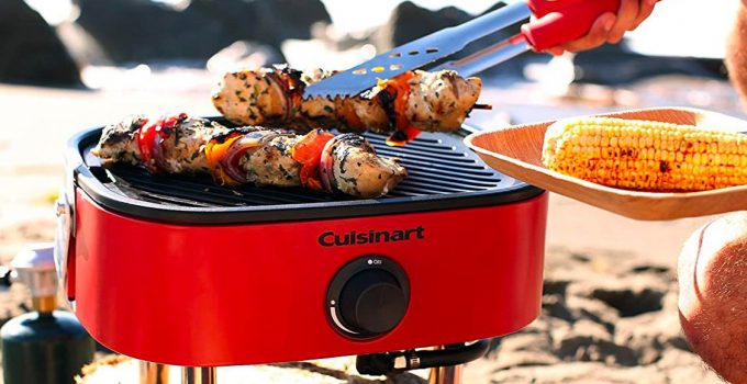 Which is the Best Portable Gas Grill?