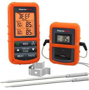 thermometer probe